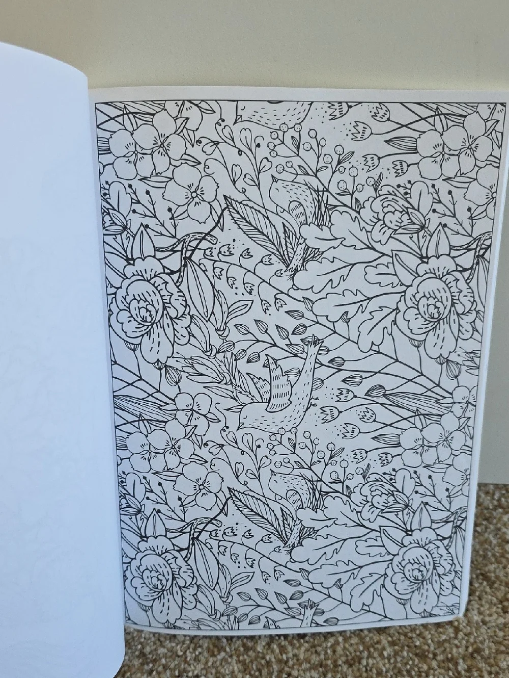 Adult Coloring Books Colored Pencils  Art Therapy, Ancient Aliens, Percy Jackson